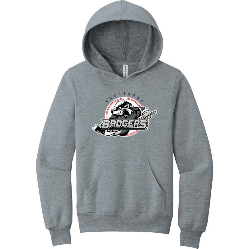 Allegheny Badgers Youth Sponge Fleece Pullover Hoodie